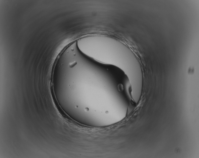X0000094420003200711211421