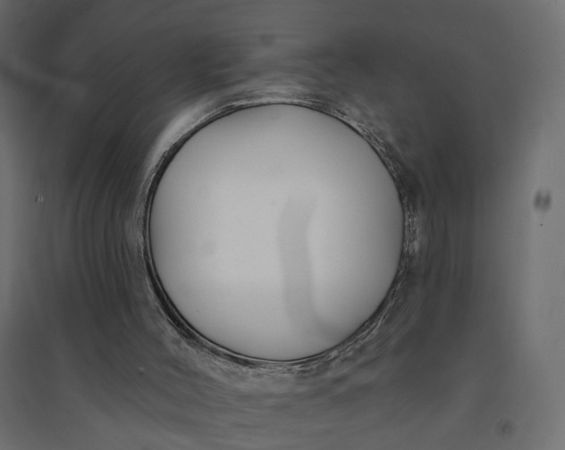 X0000094420004200711211421
