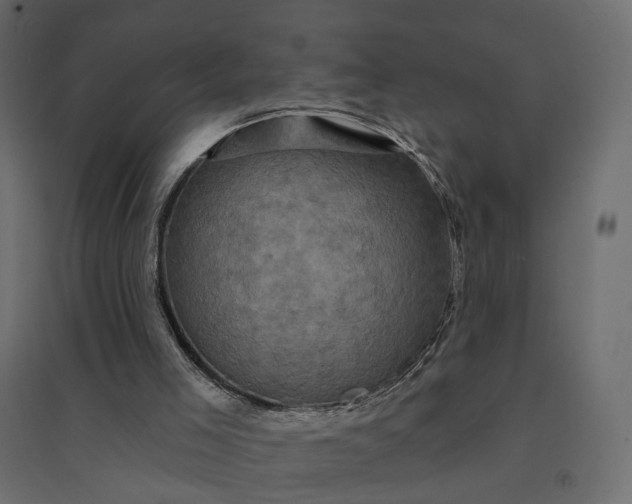 X0000094420005200711211421