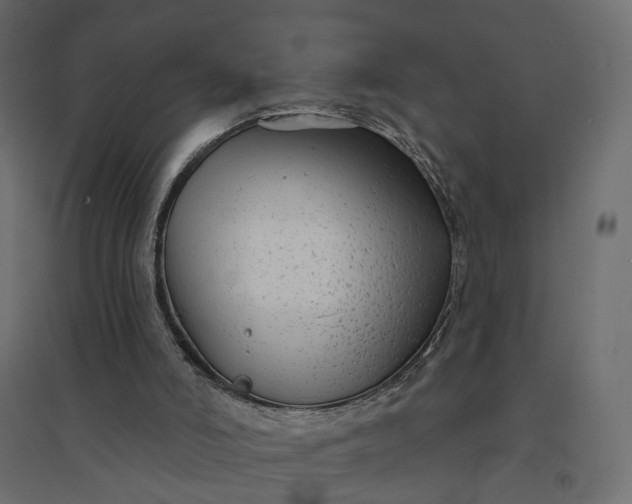 X0000094420006200711211421