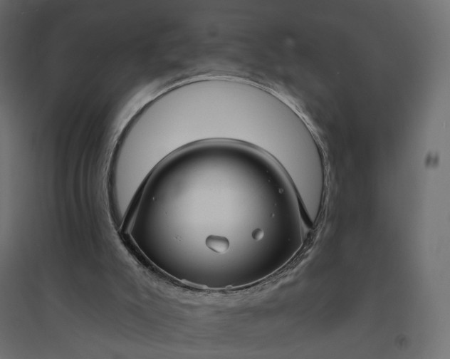 X0000094420007200711211421