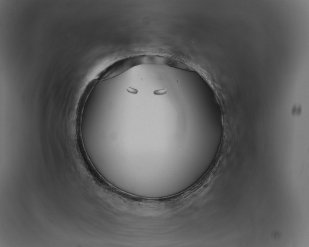 X0000094420008200711211421