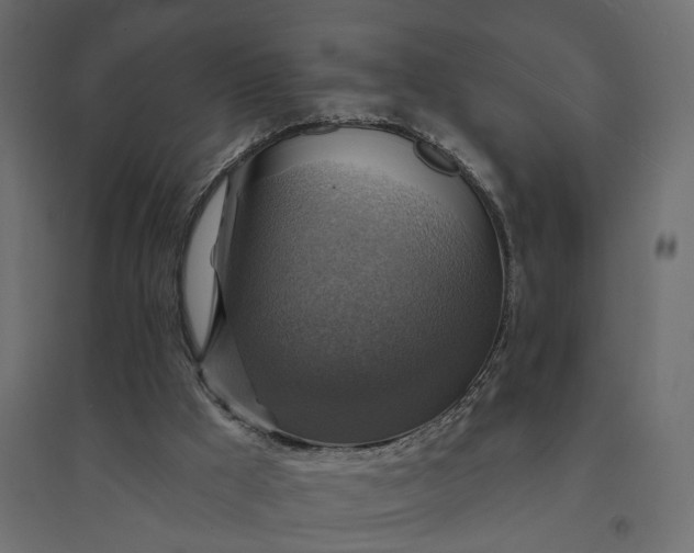 X0000094420009200711211421