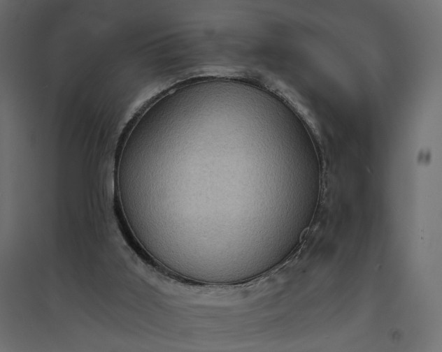X0000094420011200711211421