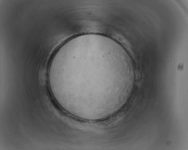 X0000094420012200711211421