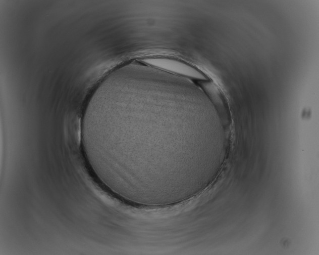 X0000094420013200711211421