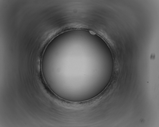 X0000094420014200711211421