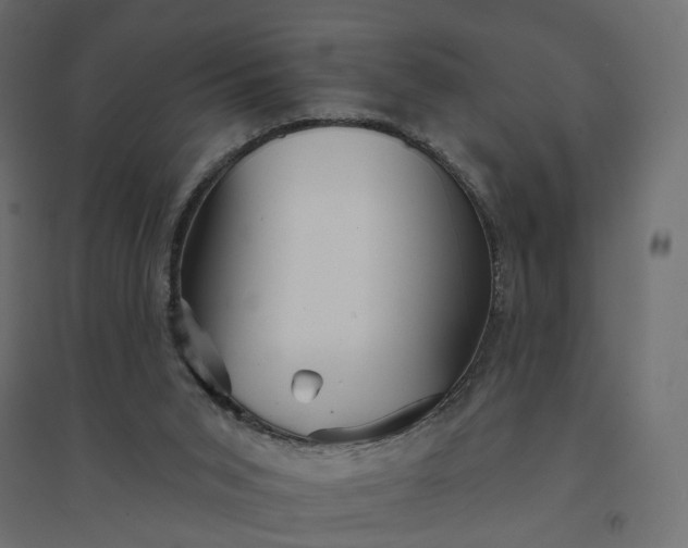 X0000094420015200711211421
