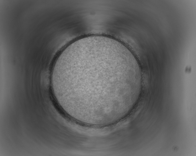 X0000094420016200711211421