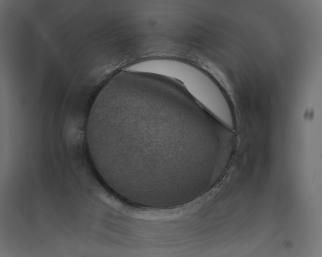 X0000094420017200711211420