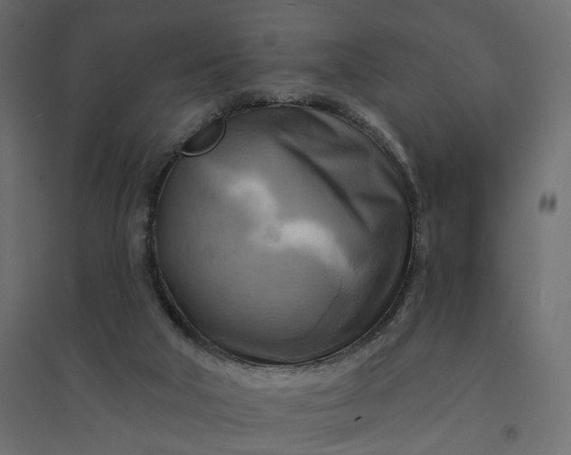 X0000094420018200711211420
