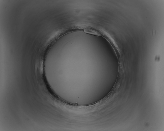 X0000094420019200711211420