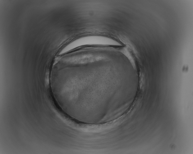 X0000094420021200711211420
