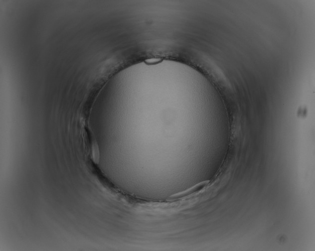 X0000094420025200711211420