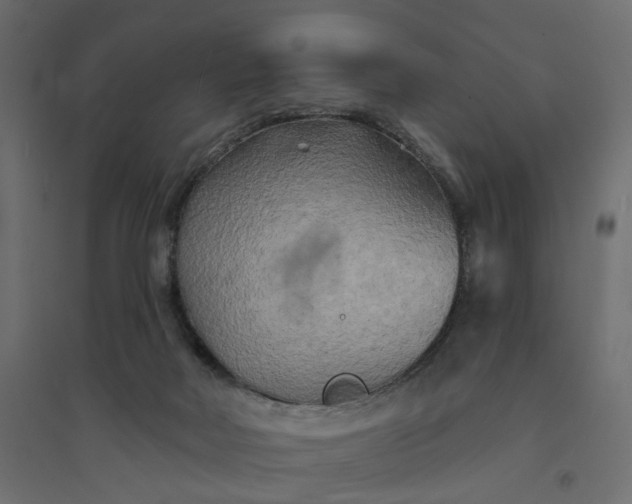 X0000094420026200711211420