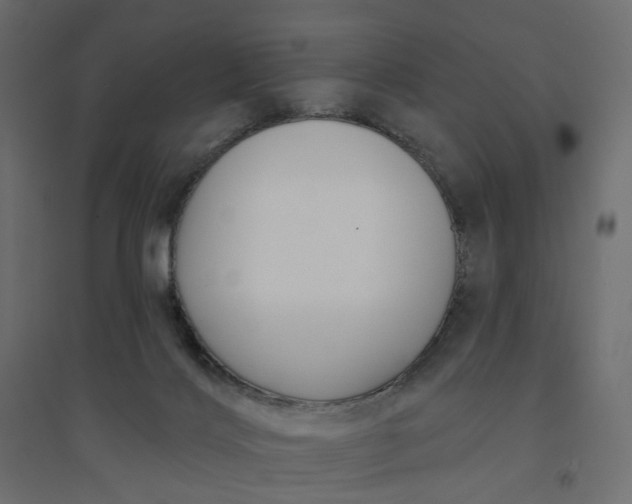 X0000094420028200711211420
