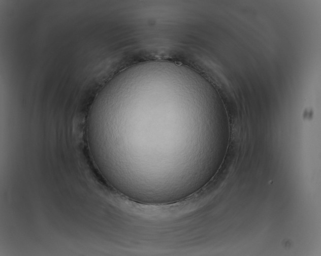 X0000094420030200711211420