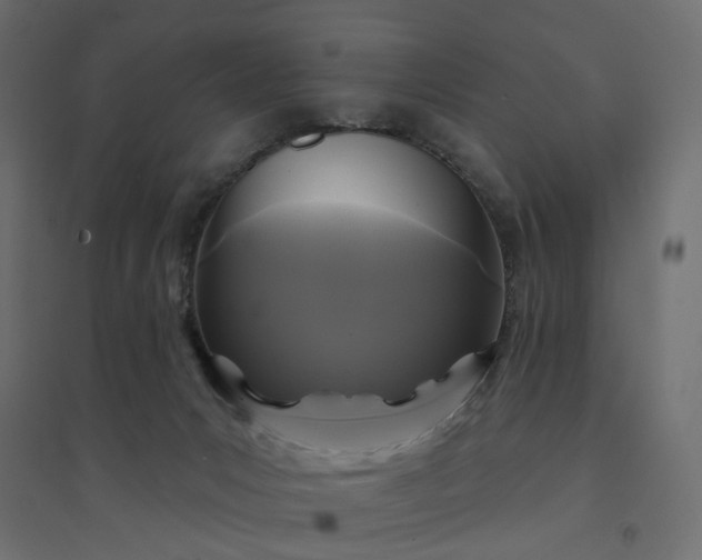 X0000094420031200711211420