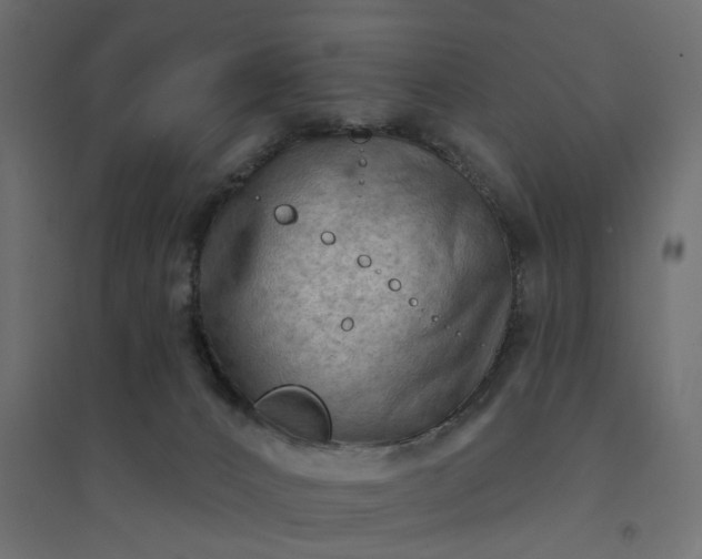 X0000094420032200711211420