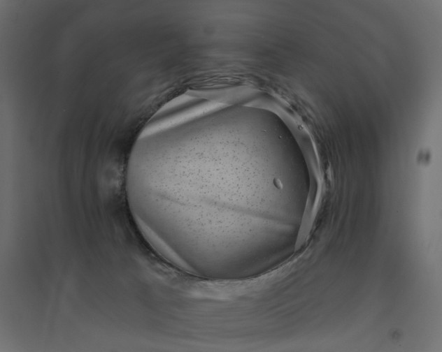 X0000094420033200711211420
