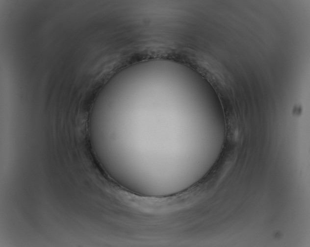 X0000094420034200711211420