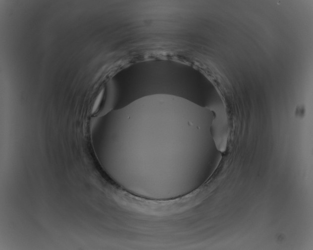 X0000094420035200711211420