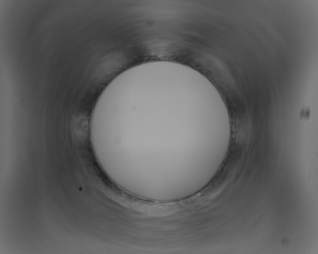 X0000094420036200711211420