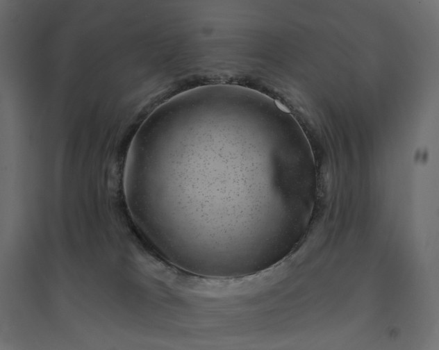 X0000094420037200711211420