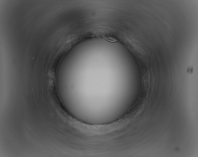 X0000094420038200711211420