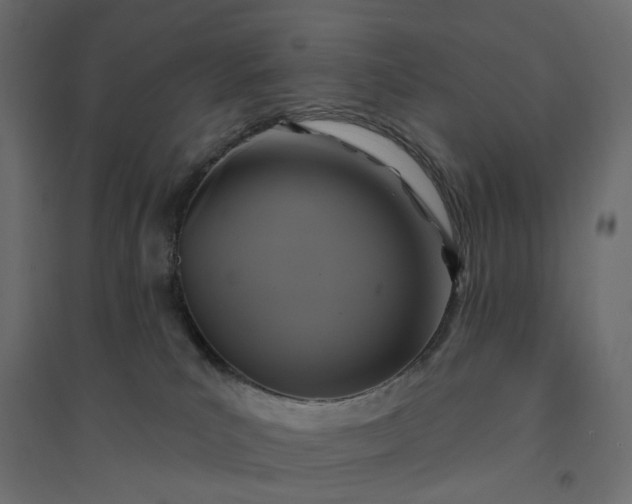X0000094420039200711211420
