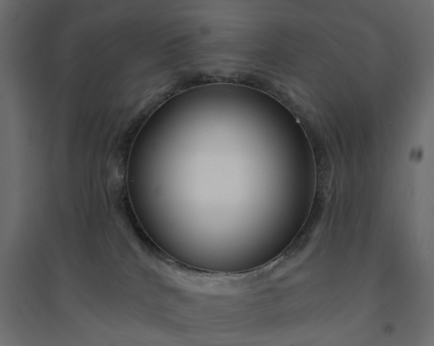 X0000094420040200711211420
