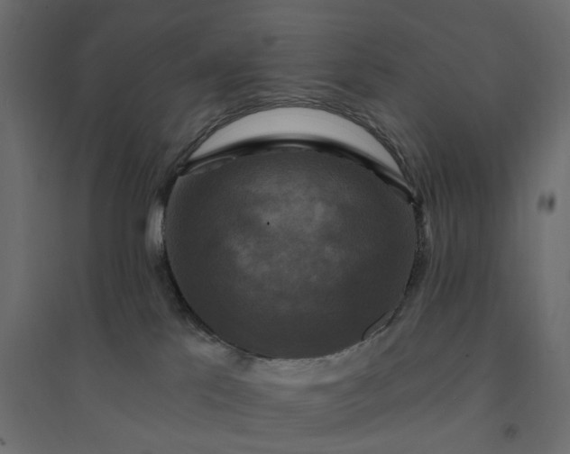 X0000094420041200711211420