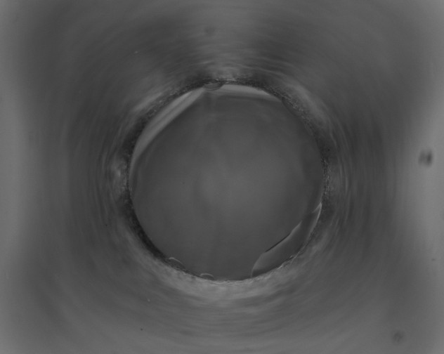 X0000094420043200711211420