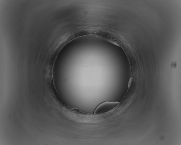 X0000094420044200711211420