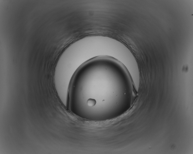 X0000094420045200711211420