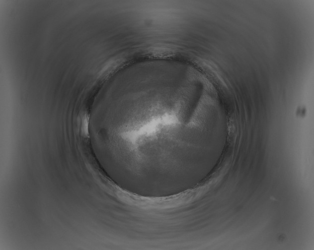 X0000094420046200711211420