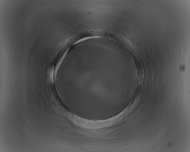 X0000094420047200711211420