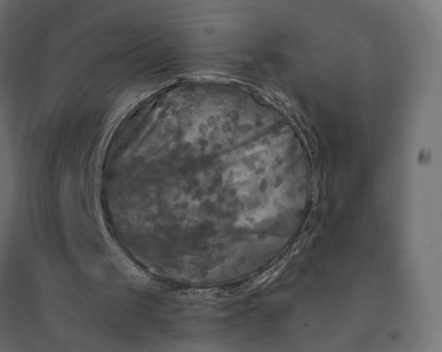 X0000094420049200711211419
