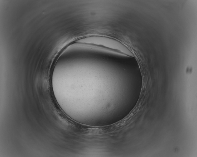 X0000094420050200711211419