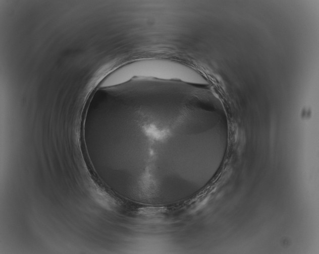 X0000094420051200711211419