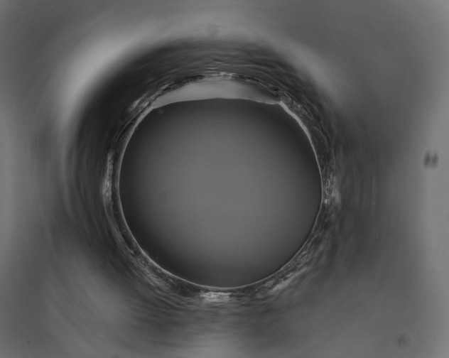 X0000094420052200711211419
