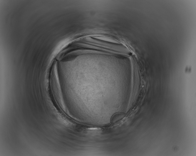 X0000094420053200711211419