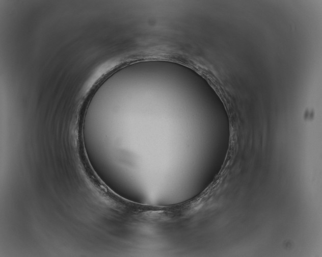 X0000094420054200711211419