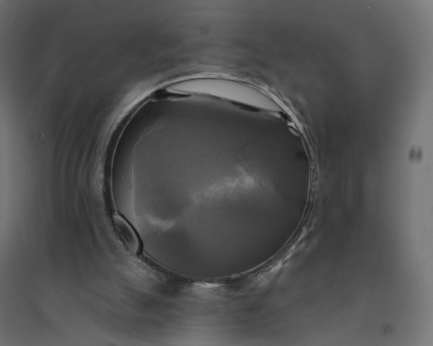 X0000094420055200711211419