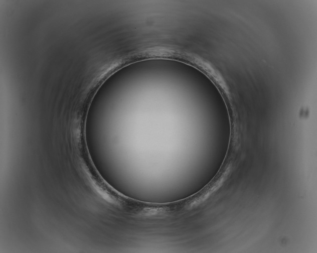 X0000094420057200711211420