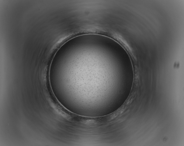 X0000094420058200711211420