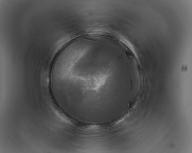 X0000094420059200711211420