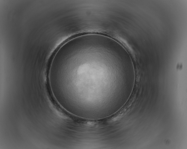 X0000094420060200711211420