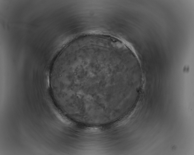 X0000094420061200711211420