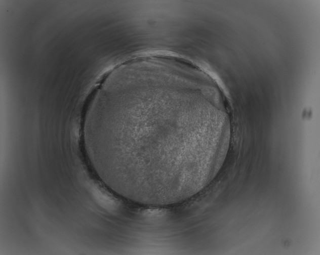 X0000094420063200711211420